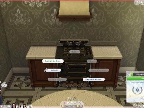 Auld Crow Wood-Burning Cookstove Off the Grid by ElvinGearMaster at Mod The Sims