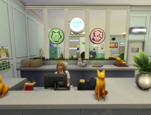 Auriga Vet Clinic