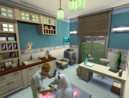 Auriga Vet Clinic