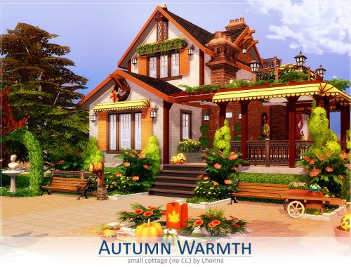 Autumn Warmth