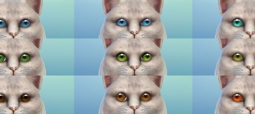 Aveira Eyes N15 for Pets Default Replacement by Nova JY at Mod The Sims