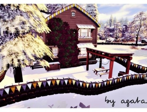 Winter Harbor at Agathea-k