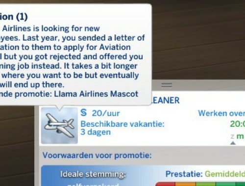 Aviation Career
