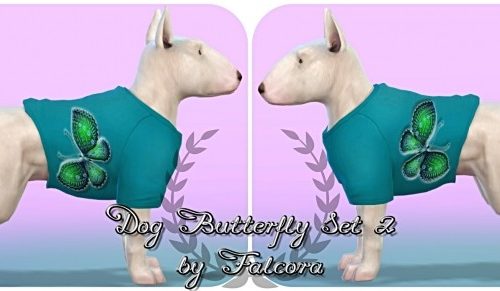 Butterfly set 10x set 2 For small dog at Petka Falcora