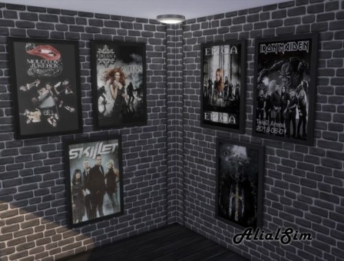 Band posters and top at Alial Sim
