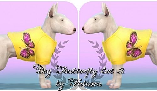 Butterfly set 10x set 2 For small dog at Petka Falcora
