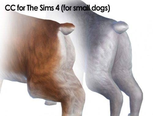 Rabbit Long Ears, Body and Tail