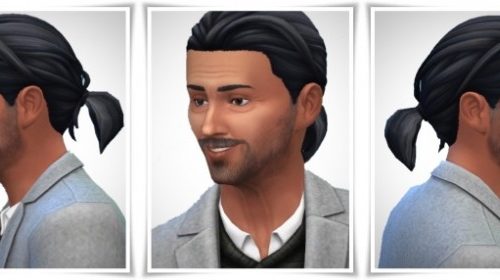 Tiny Ponytail male