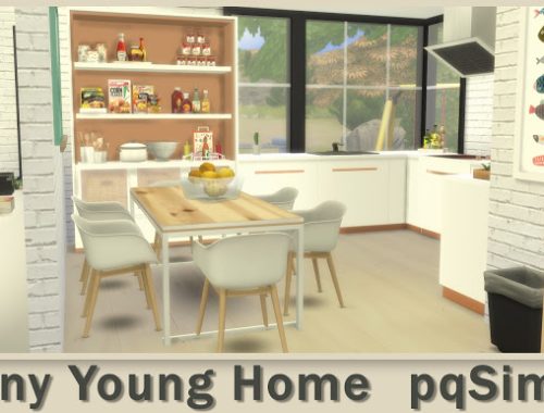 Tiny Young Home at pqSims4