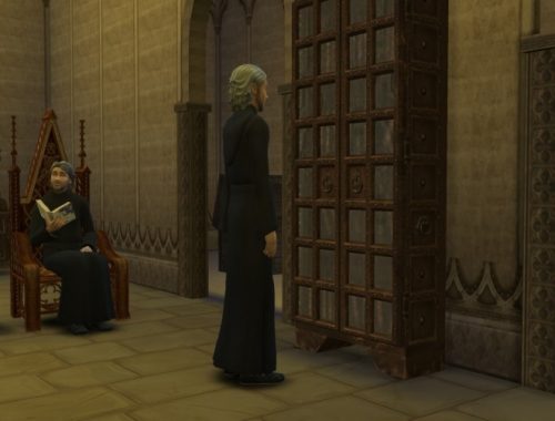 Skyrim Monastic library at Mara45123