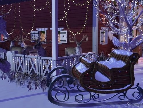 Christmas Wedding venue at Frau Engel