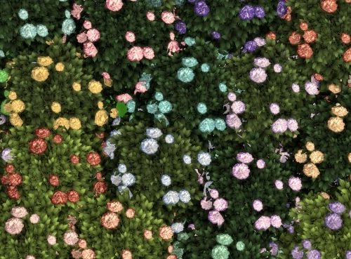 Bachelor Button Bush by Wykkyd