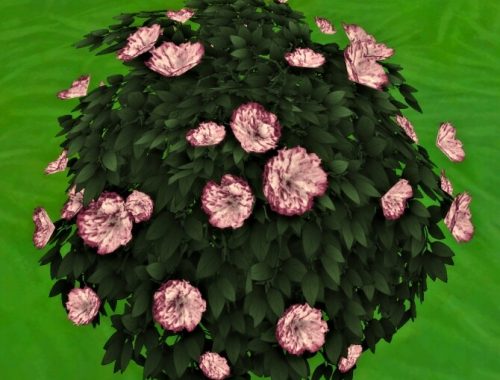 Bachelor Button Bush by Wykkyd