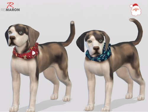 Bandana for Small Dogs - Cats & Dogs needed