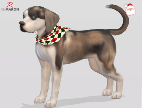 Bandana for Small Dogs - Cats & Dogs needed