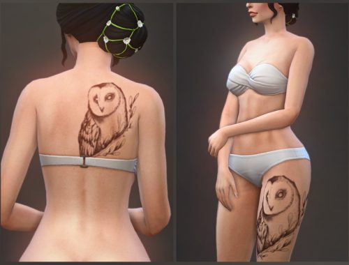 Barn Owl tattoos