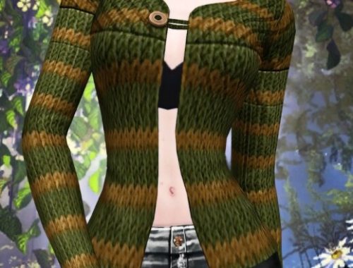 BASE GAME COMPATIBLE JACKET TOP at Jenni Sims