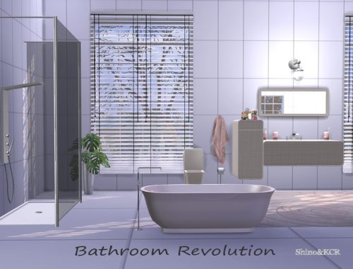 Bathroom Revolution