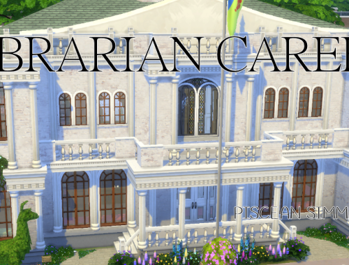 Librarian Career