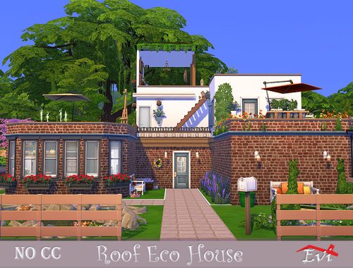 Roof Eco house
