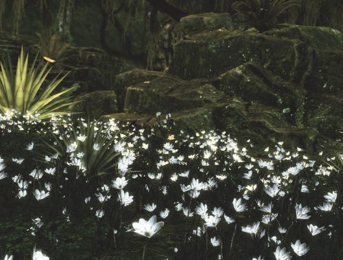 "Selvadorada Mod" V1.0