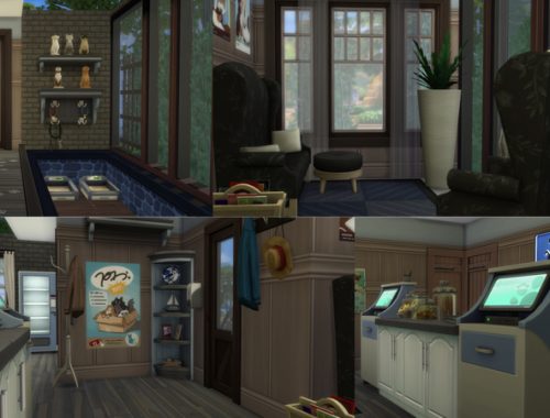 Wither Veterinarian Clinic 04