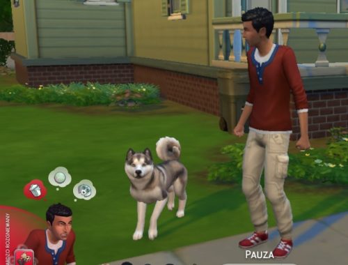 Allergic to Fur Trait and more!