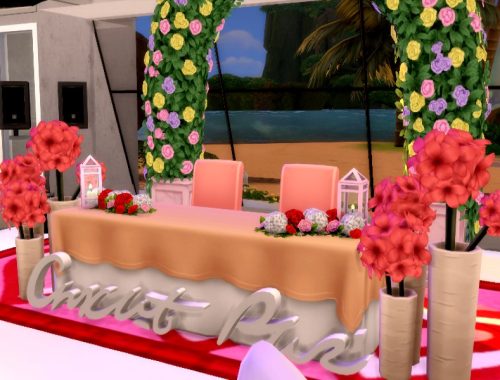 Beach marriage