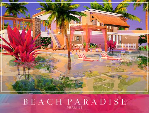 Beach Paradise