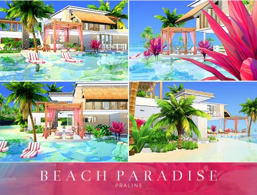 Beach Paradise