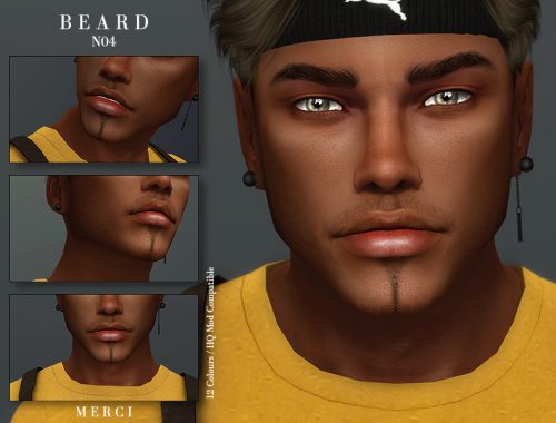 Beard N04