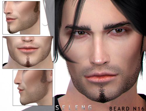 Beard N16