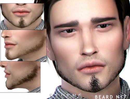 Beard N17