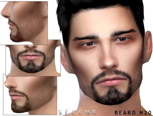Beard N20