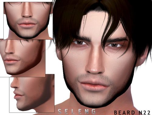 Beard N22