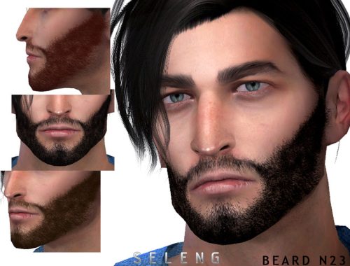 Beard N23