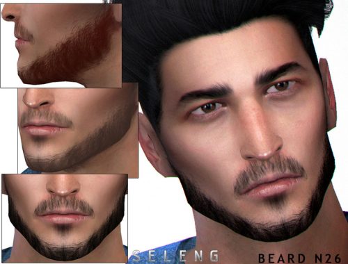 Beard N26