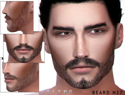 Beard N27