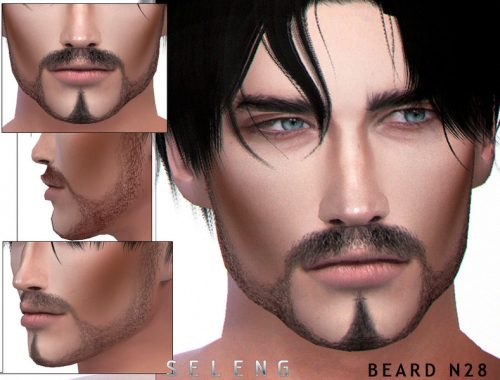 Beard N28