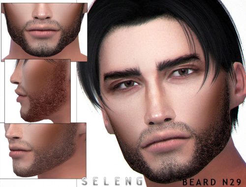 Beard N29