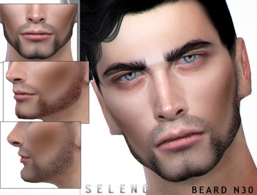 Beard N30