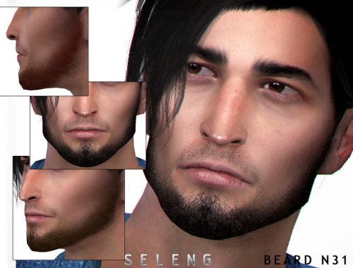 Beard N31