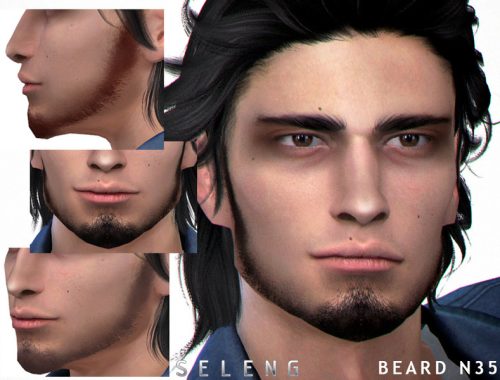 Beard N35