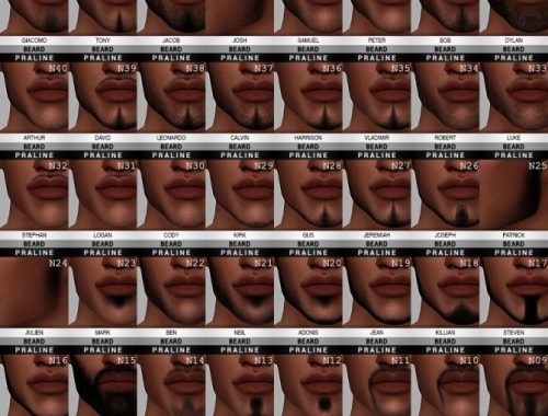 Beard Ultimate collection 53 items at Praline Sims