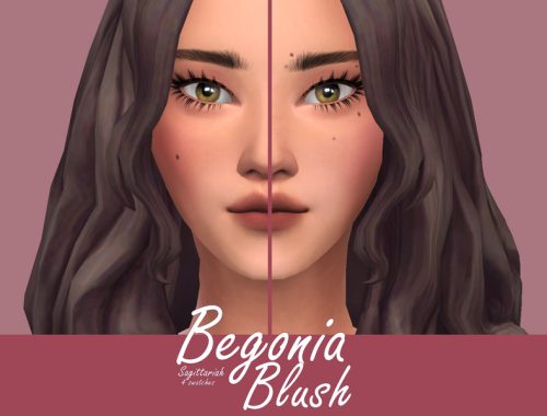 Begonia Blush