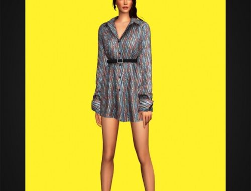 Belted Shirtdress IV at Gorilla