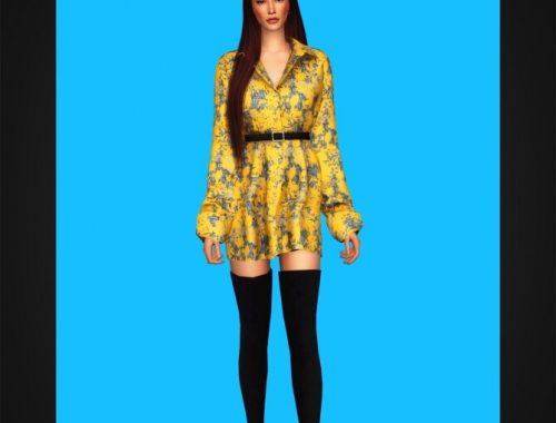 Belted Shirtdress IV at Gorilla