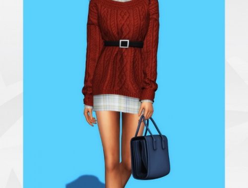 Belted Sweater Dress & Shirt at Gorilla