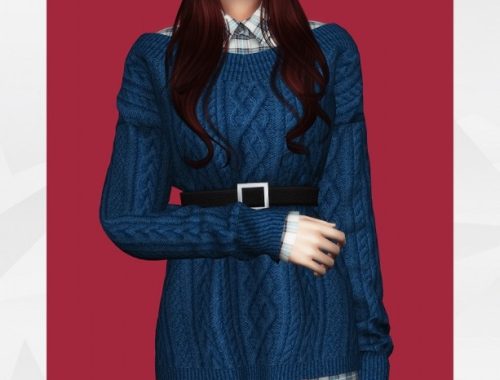 Belted Sweater Dress & Shirt at Gorilla
