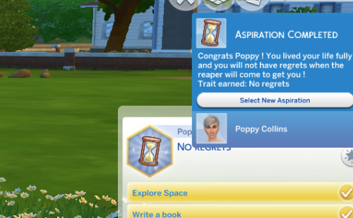 No regrets Aspiration (custom aspiration)